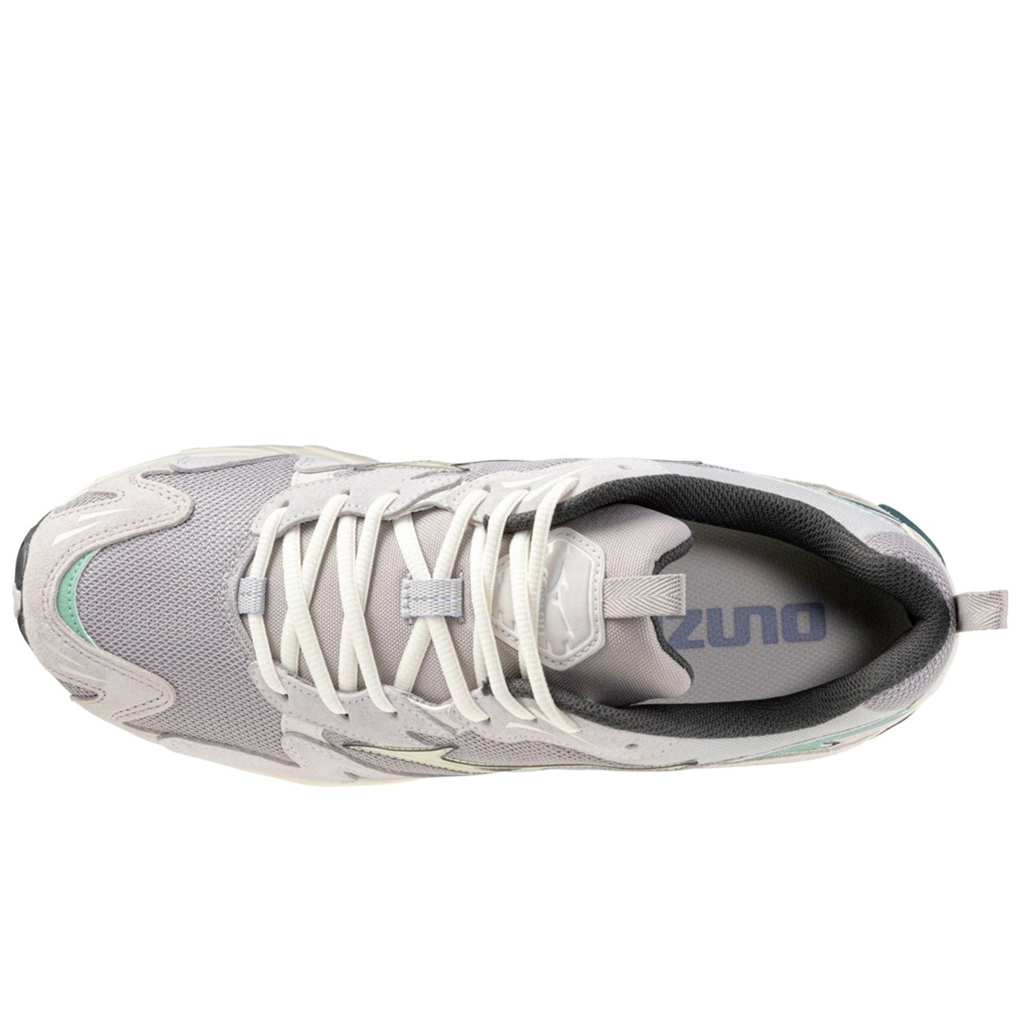 Mizuno Wave Rider 10 Premium Trainers