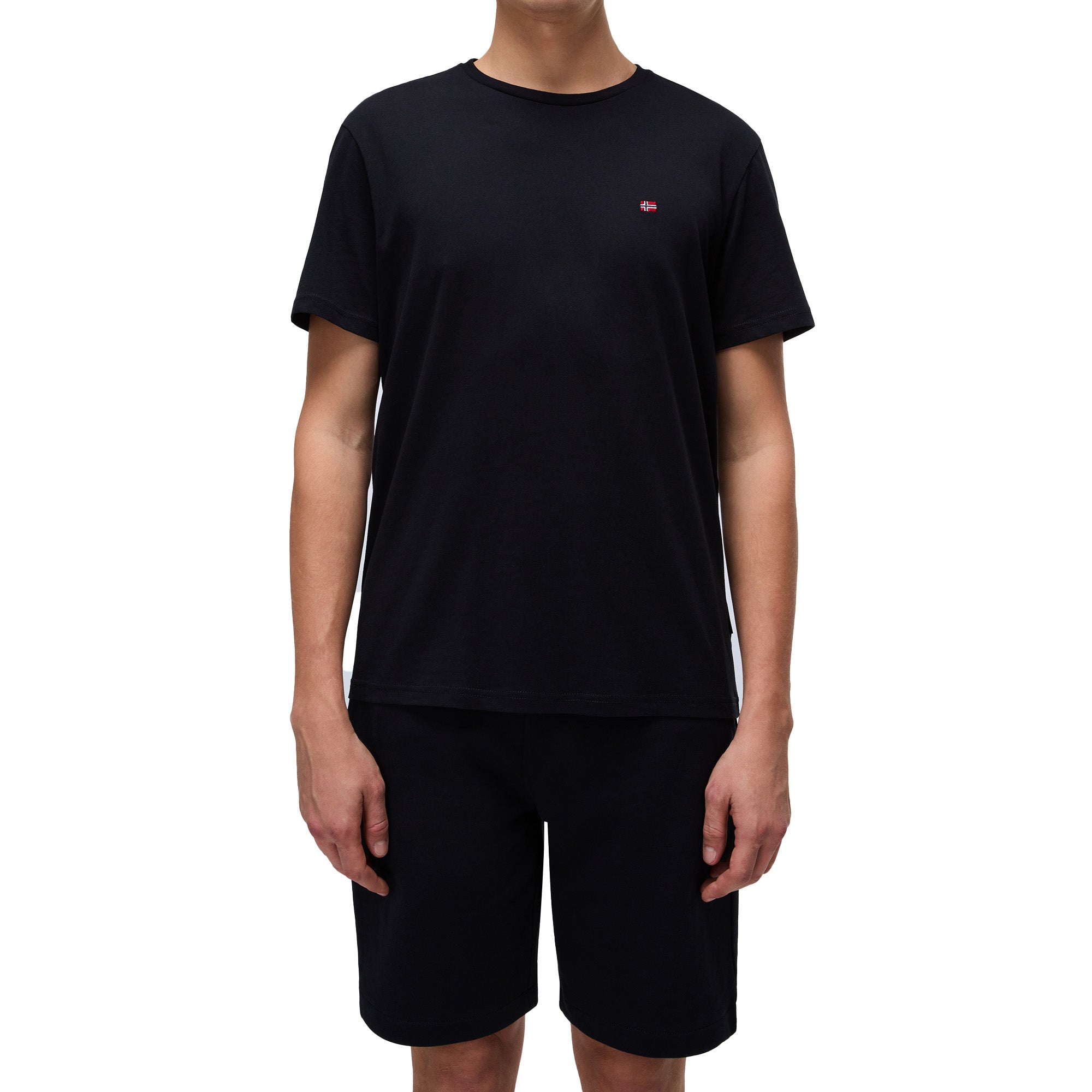 Napapijri Salis Flag T-Shirt