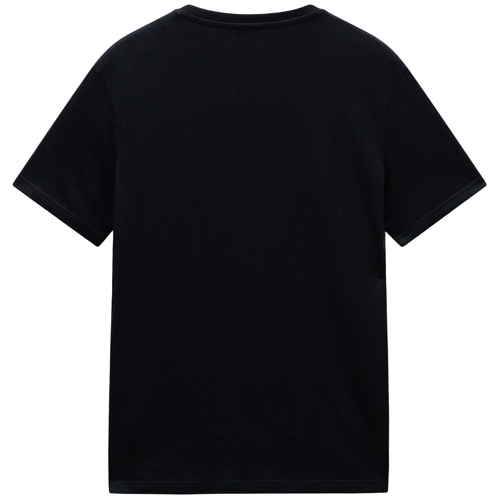 Napapijri Salis Flag T-Shirt