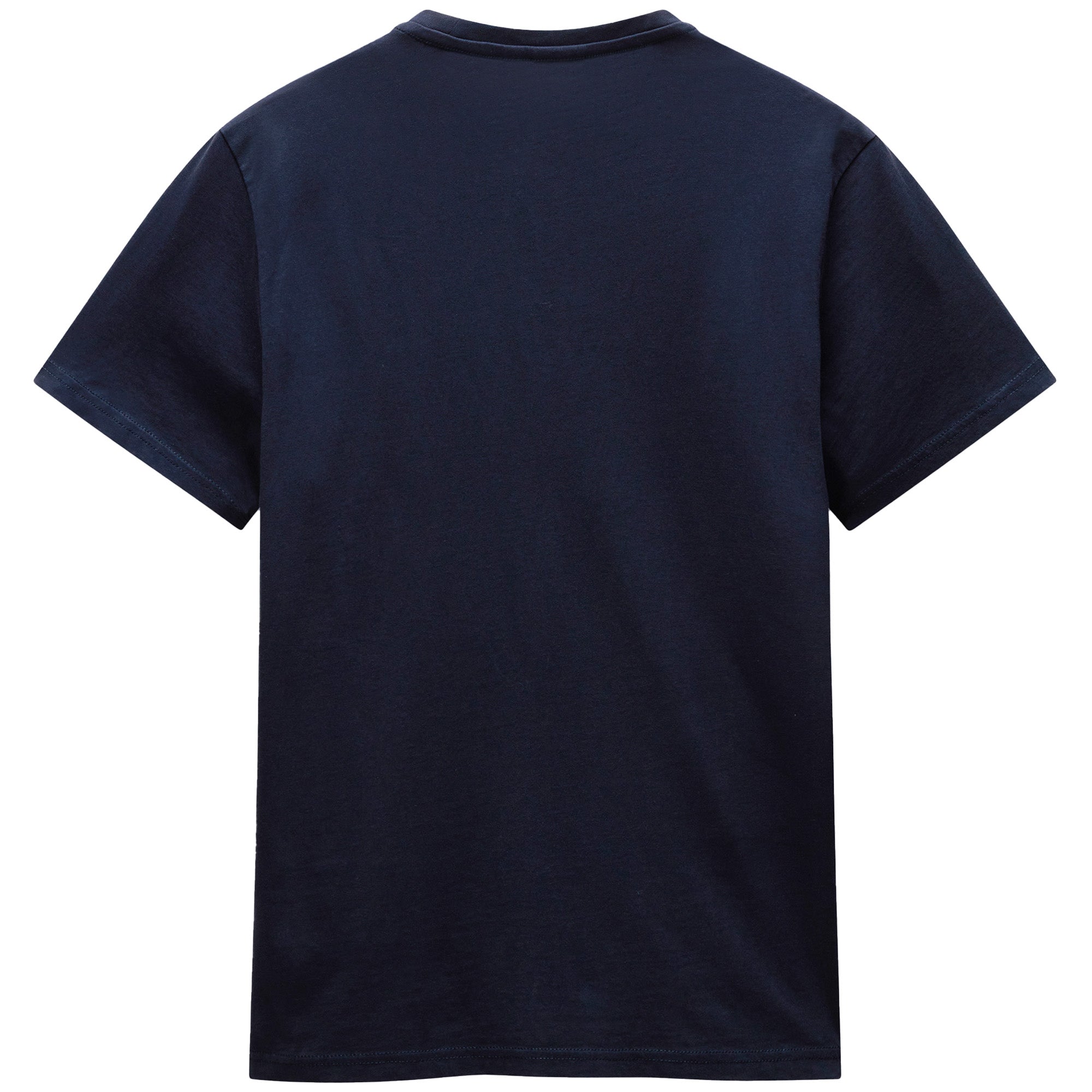Napapijri Salis Flag T-Shirt