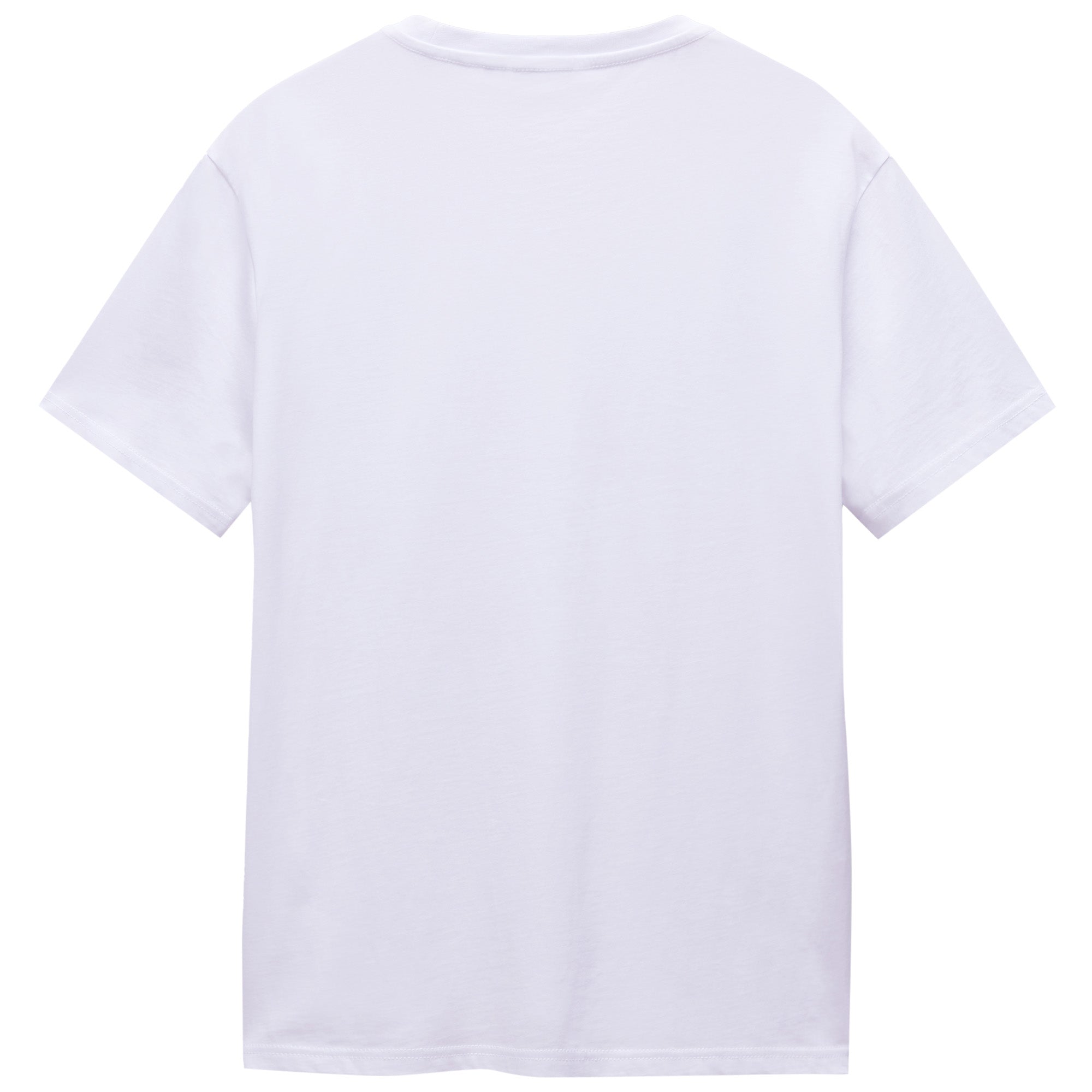 Napapijri Salis Flag T-Shirt