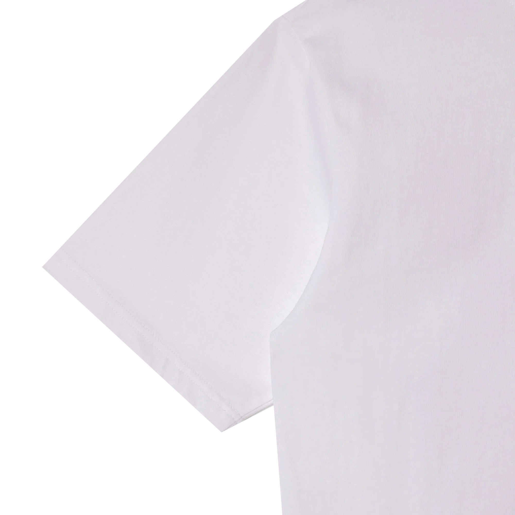 Stan Ray Fruits T-Shirt