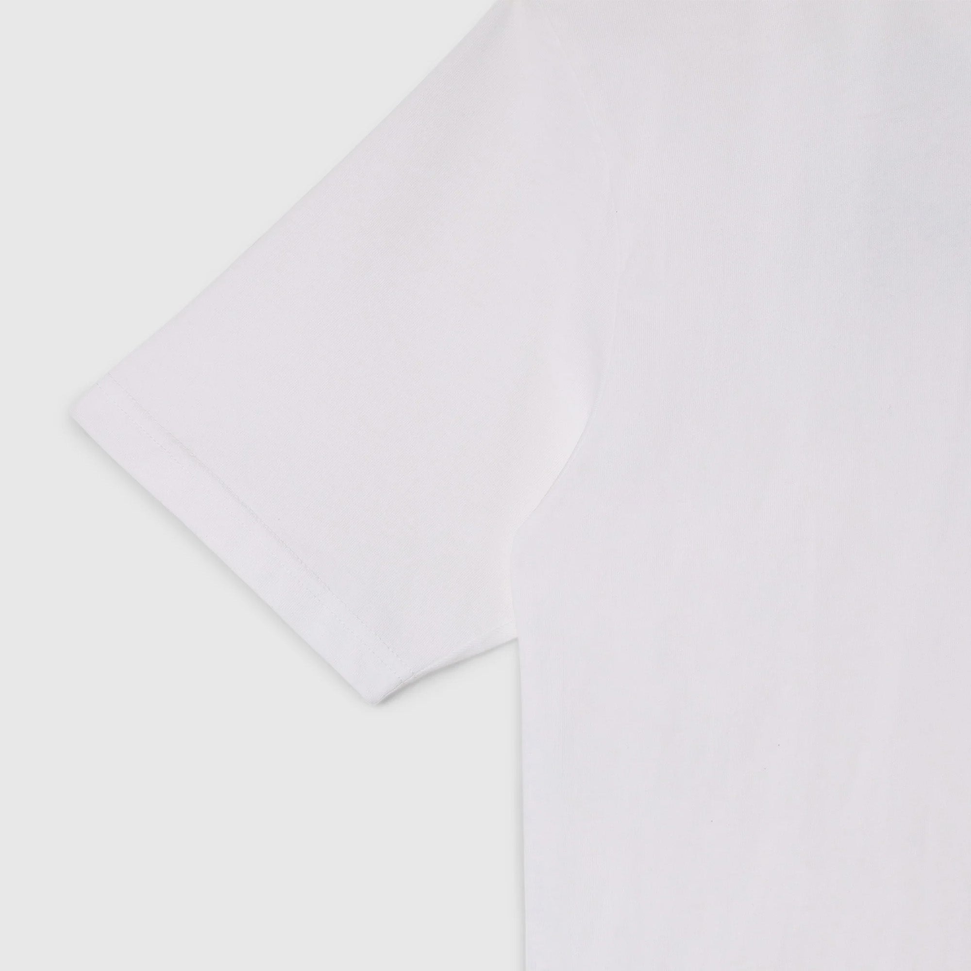 Stan Ray Stan OG AW T-Shirt