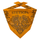 Stetson Paisley Bandana