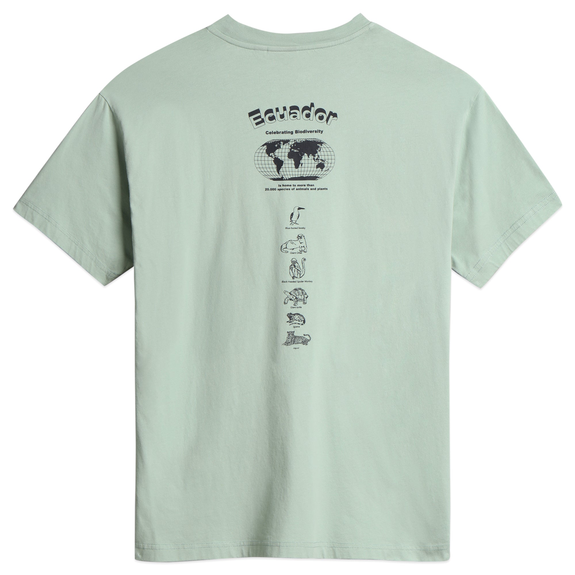 Napapijri S-Paradise T-Shirt - Green Forest